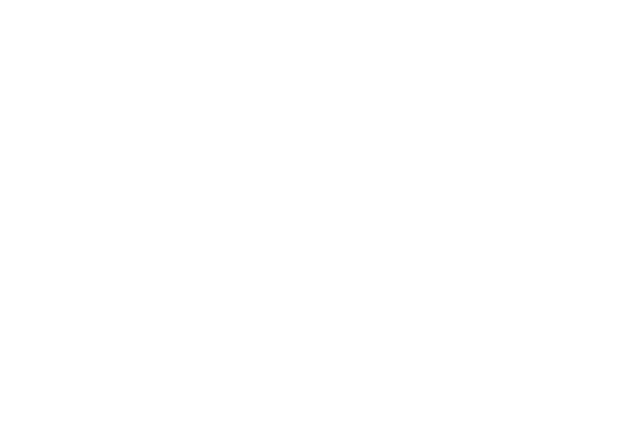 Chidurala Technologies logo
